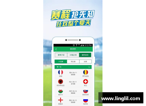 欧洲杯竞猜独家揭秘：QQ浏览器赛事分析及热门预测