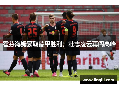 霍芬海姆豪取德甲胜利，壮志凌云再闯高峰